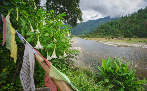 Arunachal Pradesh 14